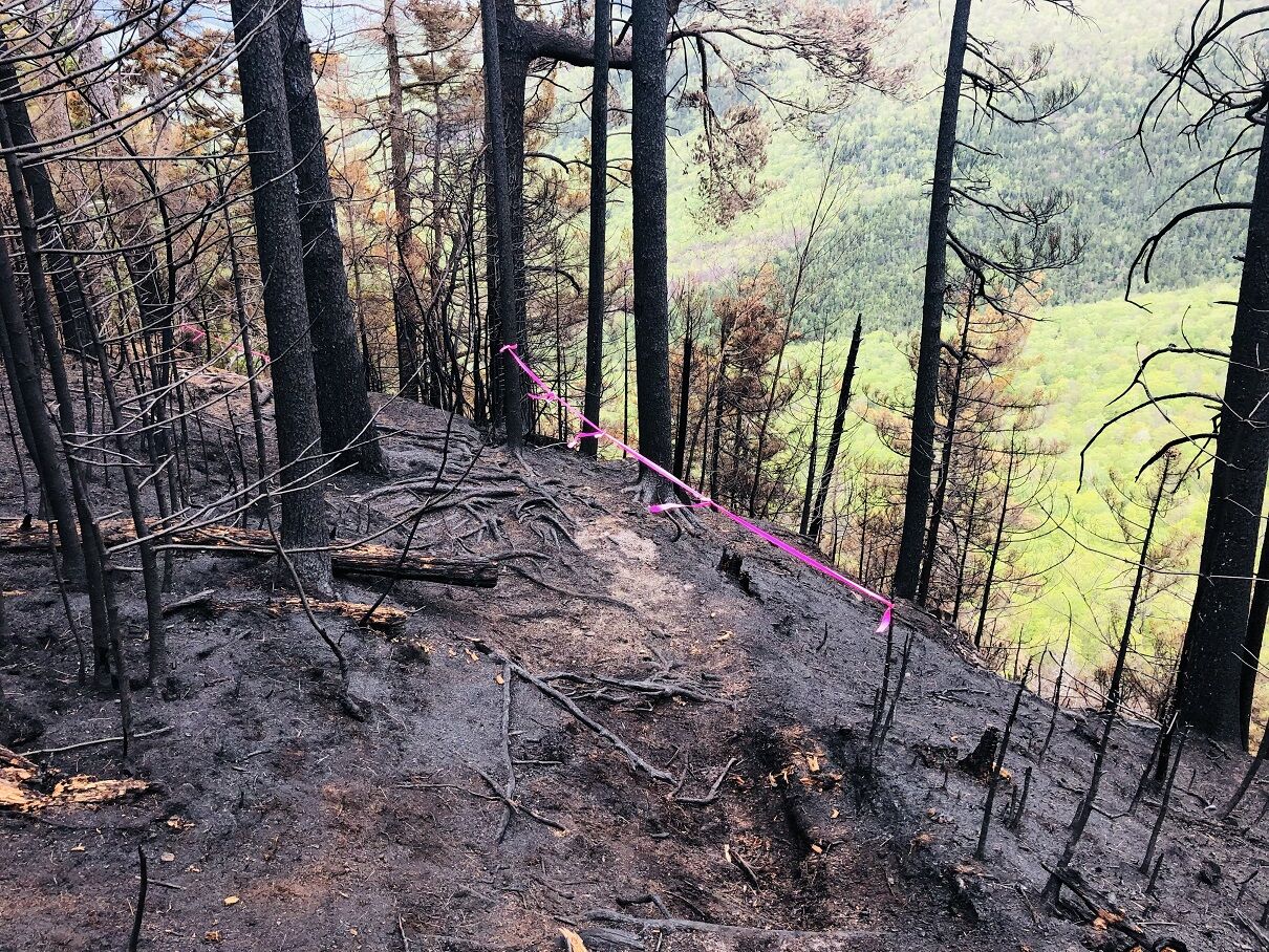 Investigators seek Bemis Fire cause